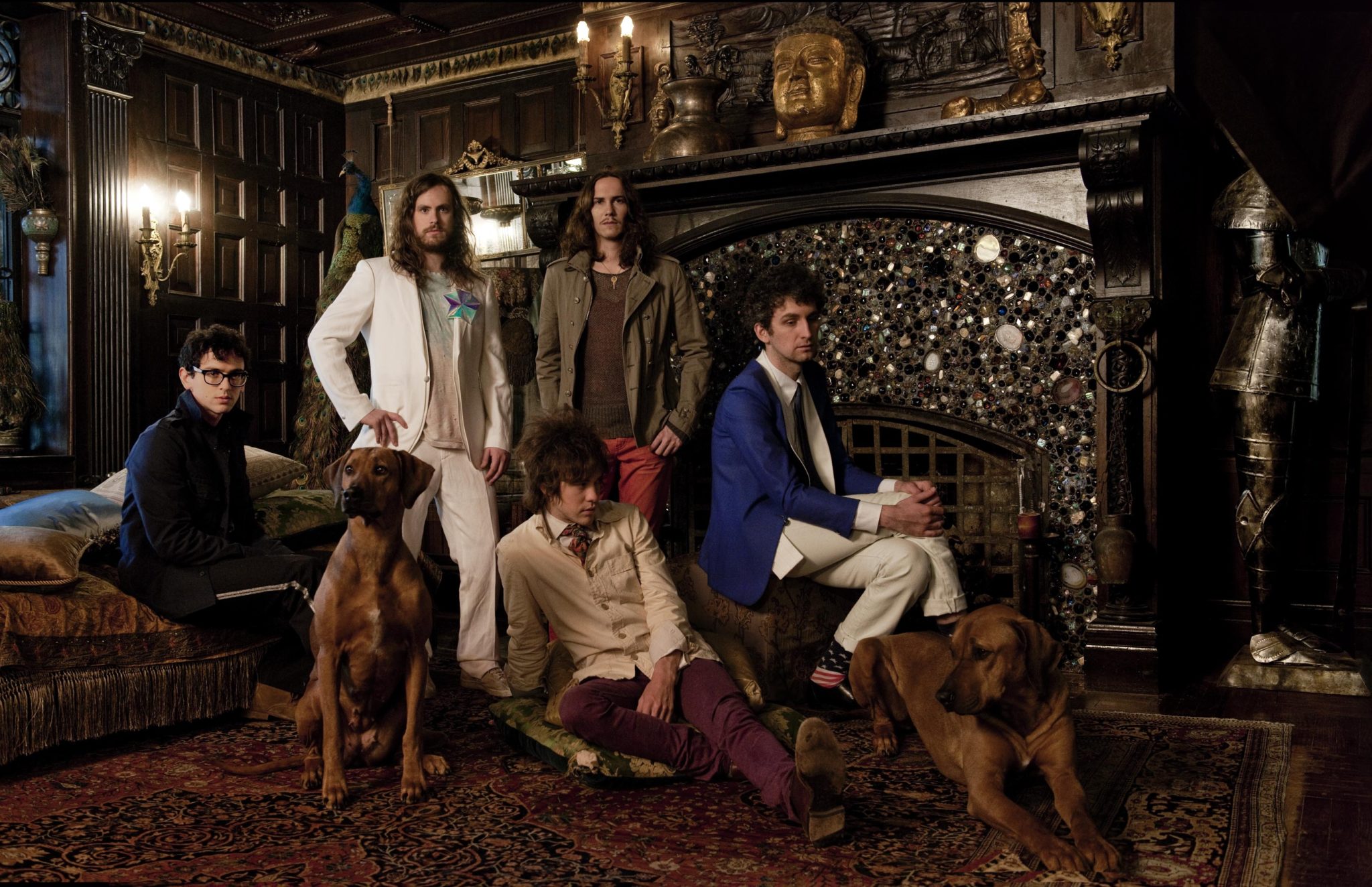 MGMT – MGMT