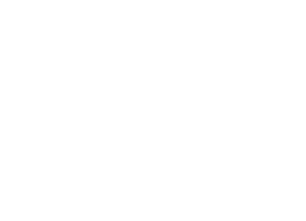 Lindsey Stirling - Het meisje achter de viool