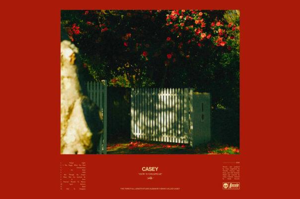 Casey – How To Disappear
