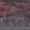 Album Review: Sleep Token – Even In Arcadia