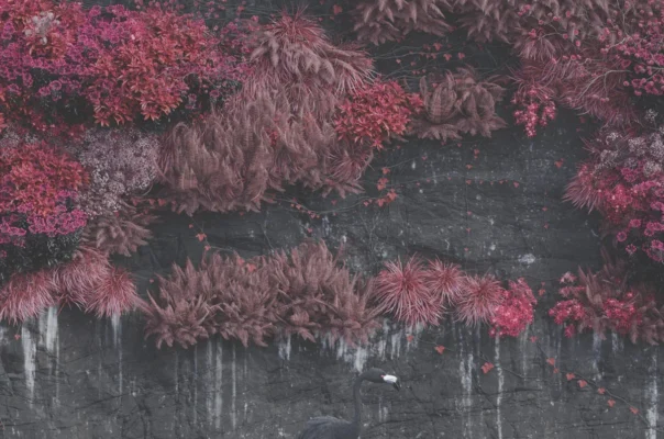 Album Review: Sleep Token – Even In Arcadia